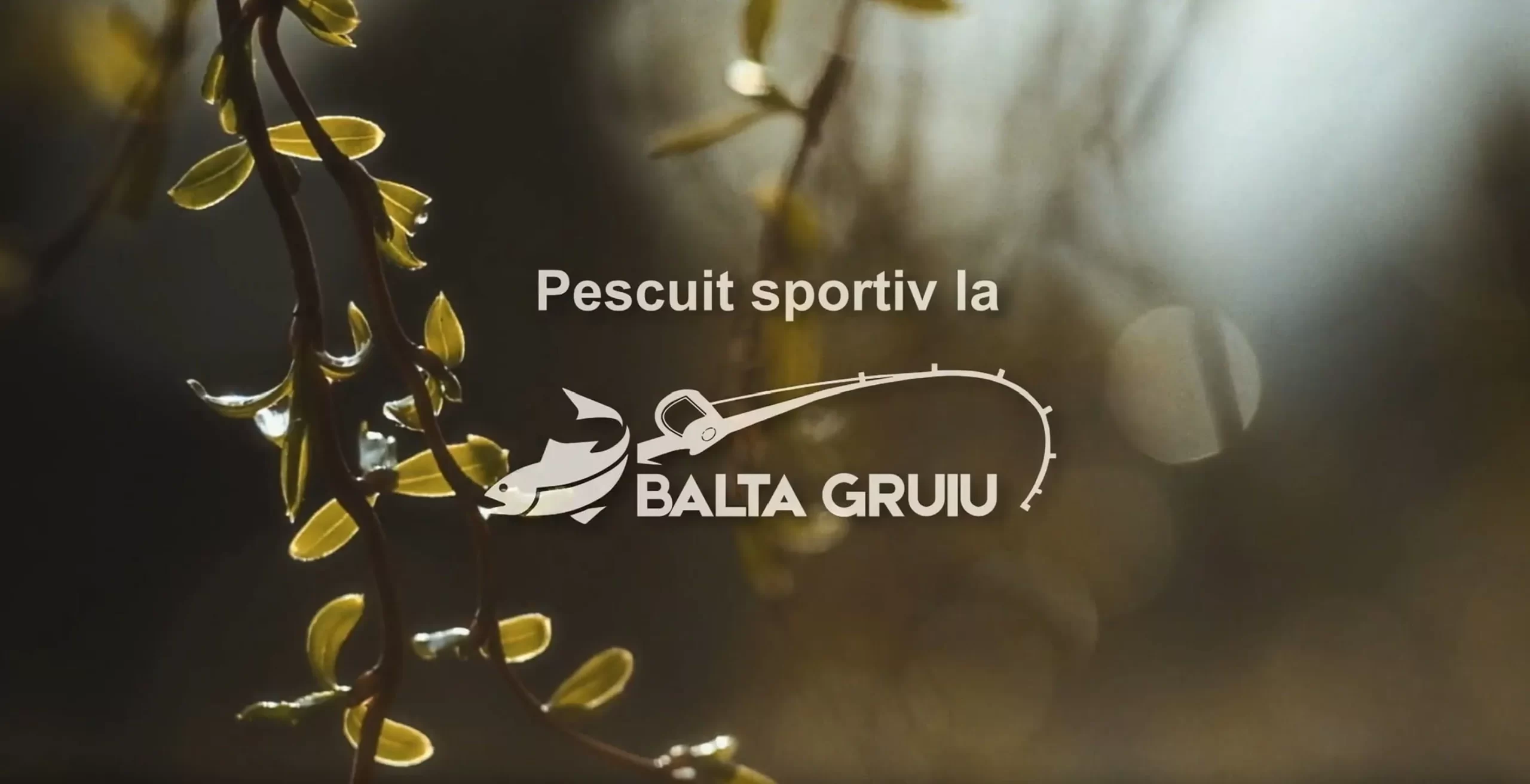 Prezentare video Balta Gruiu